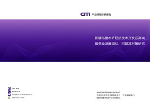 金融业务流程外包（BPO）与区域金融服务创新——以中国科学院兰州文献情报中心区域发展研究部的视角