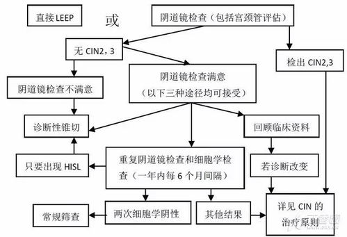 不可错过！7张流程图详解宫颈癌筛查与金融业务流程外包的跨界启示